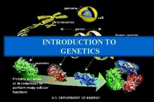 INTRODUCTION TO GENETICS Why must we study genetics