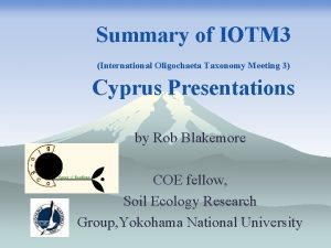 Summary of IOTM 3 International Oligochaeta Taxonomy Meeting