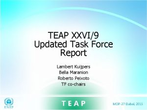 TEAP XXVI9 Updated Task Force Report Lambert Kuijpers