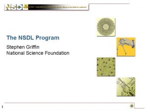 The NSDL Program Stephen Griffin National Science Foundation