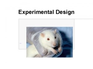 Experimental Design Experimental Design Utilizing the scientific process