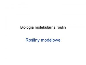 Biologia molekularna rolin Roliny modelowe Specyfika rolin co