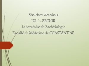 Structure des virus DR L BECHIR Laboratoire de