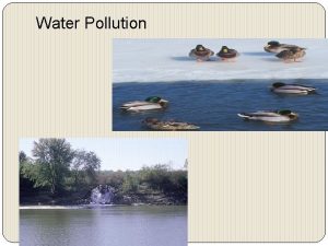 Water Pollution Examples of Polluted Waters WATER POLLUTION