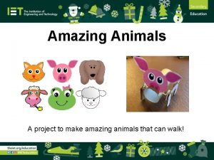 Amazing animals project