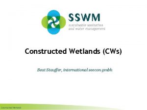 Constructed Wetlands CWs Beat Stauffer international seecon gmbh