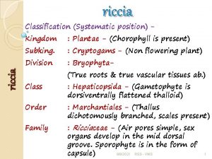 riccia Classification Systematic position Kingdom Plantae Chorophyll is