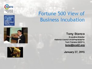Fortune 500 View of Business Incubation Tony Stanco