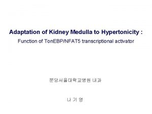 Adaptation of Kidney Medulla to Hypertonicity Function of