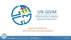 UNGGIM Working Group on Marine Geospatial Information Report