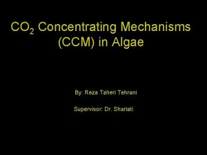 CO 2 Concentrating Mechanisms CCM in Algae By