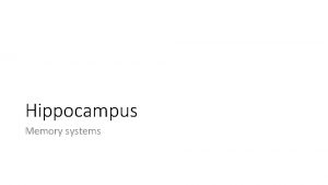 Hippocampus Memory systems Learning Set of processes by