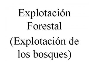 Explotacin Forestal Explotacin de los bosques En el