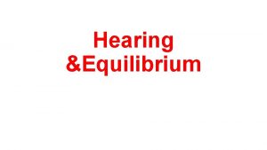 Hearing Equilibrium The inner ear labyrinth is made