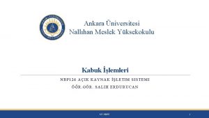 Ankara niversitesi Nallhan Meslek Yksekokulu Kabuk lemleri NBP