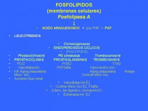FOSFOLIPIDOS membranas celulares Fosfolipasa A ACIDO ARAQUIDONICO lyso
