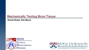 Mechanically Testing Bone Tissue Snehal Shetye Rob Mauck