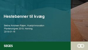 Hestebnner til kvg Betina Amdisen Rjen Husdyr Innovation