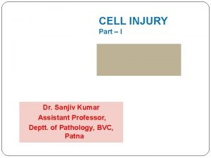 CELL INJURY Part I Dr Sanjiv Kumar Assistant