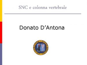 SNC e colonna vertebrale Donato DAntona Metodo Approccio