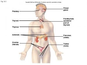 Fig 10 1 Copyright Mc GrawHill Education Permission