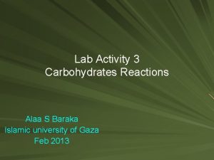 Lab Activity 3 Carbohydrates Reactions Alaa S Baraka