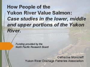 How People of the Yukon River Value Salmon