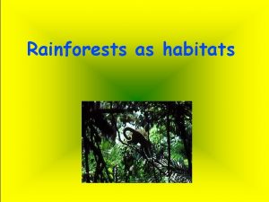 Rainforests as habitats What are rainforests Rainforests are