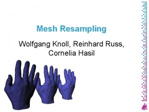 Mesh Resampling Wolfgang Knoll Reinhard Russ Cornelia Hasil