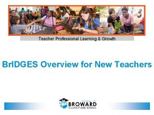 Teacher Professional Learning Growth Br IDGES Overview for