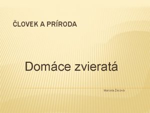 LOVEK A PRRODA Domce zvierat Marcela ecov Na