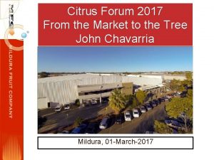 Citrus Forum 2017 From the Market to the