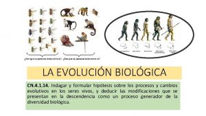 LA EVOLUCIN BIOLGICA CN 4 1 14 Indagar