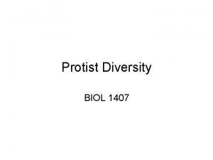 Protist Diversity BIOL 1407 Protists Eukaryotes that are