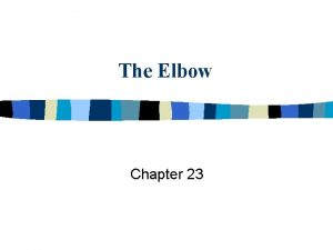 The Elbow Chapter 23 Elbow Anatomy n n