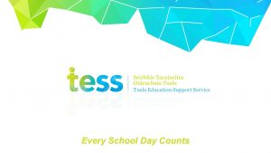 Every School Day Counts Who We Are Tusla