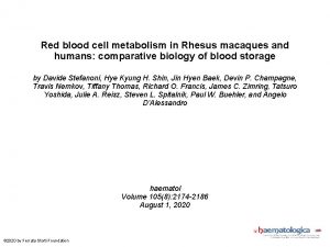 Red blood cell metabolism in Rhesus macaques and