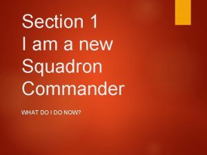 Section 1 I am a new Squadron Commander