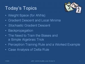Todays Topics Weight Space for ANNs Gradient Descent