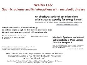 Walter Lab Gut microbiome and its interactions with