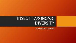 INSECT TAXONOMIC DIVERSITY BY BRANDON STOUDEMIRE INSECT ORDERS