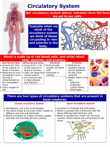 Circulatory System Our circulatory system deliver nutrients form