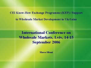 CEI KnowHow Exchange Programme KEP Support to Wholesale