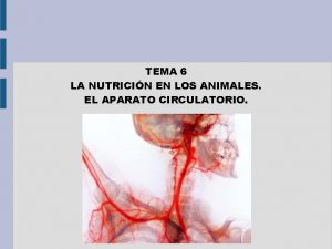 TEMA 6 LA NUTRICIN EN LOS ANIMALES EL