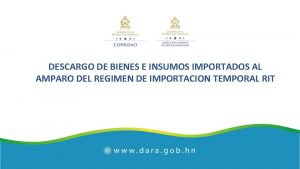 DESCARGO DE BIENES E INSUMOS IMPORTADOS AL AMPARO