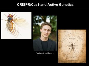 CRISPRCas 9 and Active Genetics Valentino Gantz CRISPRCas