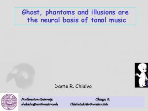 Ghost phantoms and illusions are the neural basis