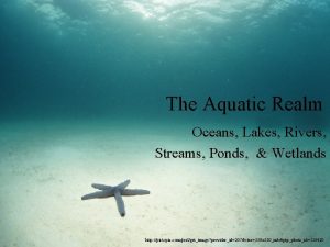 The Aquatic Realm Oceans Lakes Rivers Streams Ponds