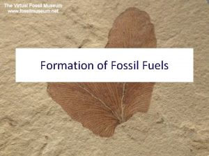 Formation of Fossil Fuels Fossil Fuels Coal Oil