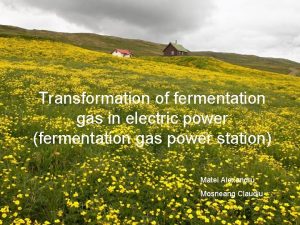 Transformation of fermentation gas in electric power fermentation